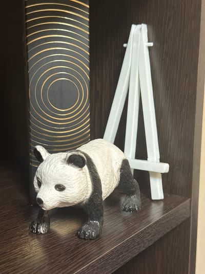 This is a close-up, eye-level shot of a dark wooden shelf inside a cabinet or closet. The scene is lit by artificial light, suggesting it's indoors. Dominating the frame are two main objects: a white plastic easel and a toy panda.
The easel, made of white plastic, is folded and positioned on the left side of the shelf. It appears to be an adjustable easel, with several interlocking pieces and small pegs visible.
To the right of the easel, a toy panda is placed. The panda is depicted in a realistic style, with black patches around its eyes and ears, and black limbs. It is lying on its belly, with its head turned towards the viewer. Its body is primarily white, and its paws are detailed to resemble those of a real panda.
In the foreground, partially obscured by the panda, is a black book or box with a distinctive design. It features a series of concentric gold rings that create a visually striking pattern.
The background is the dark wood grain of the shelf and the side of the cabinet, creating a warm, earthy tone that contrasts with the white easel and the panda. The focus is sharp on the panda and the book, with the easel and the background slightly softer. There is no visible text in the image. The overall impression is one of a curated display or perhaps a child's toy neatly stored.