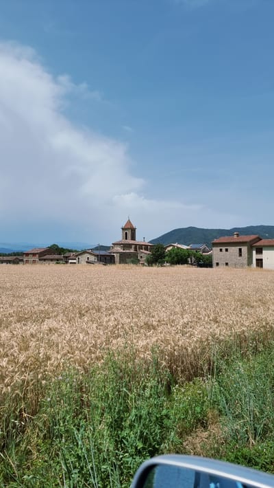 The image shows a rural landscape with a wheat field in the foreground and a village nestled in the background. The wheat field is golden and ripe, suggesting it is late summer or early autumn. In the village, a prominent church with a bell tower stands out. Surrounding the church are several stone houses with red-tiled roofs, characteristic of Spanish architecture. Rolling green hills form the backdrop to the village, under a bright blue sky with scattered white clouds. A car's side mirror is partially visible in the bottom right corner, indicating the photo was taken from inside a vehicle. The scene depicts a tranquil, idyllic view of the Spanish countryside.
