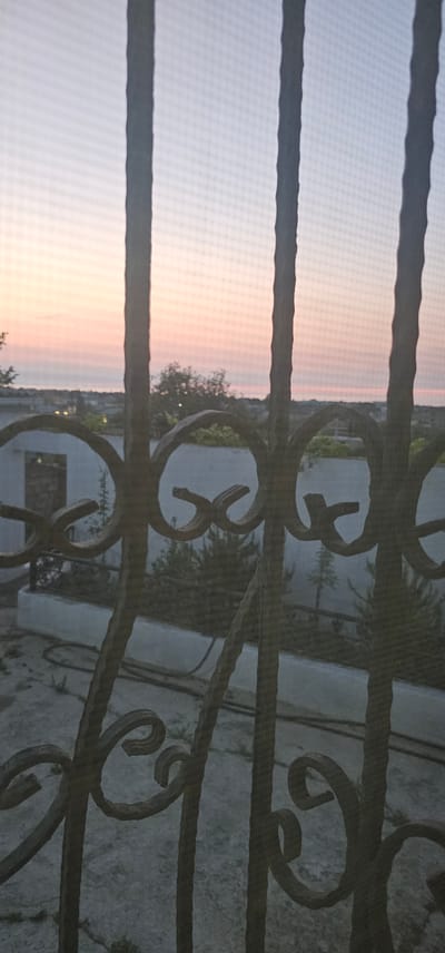 An exterior medium shot captures a hazy sunset through ornate, dark metal bars, suggesting a gated area or balcony in Novxanı, Azerbaijan. The sky transitions from a pale pink near the horizon to a muted blue overhead, with a faint, distant landscape of low buildings and trees silhouetted against the twilight. The foreground is dominated by the intricate scrollwork of the metal bars, which appear to be part of a fence or railing. Below the horizon line, a white wall encloses a courtyard with some sparse vegetation and what appears to be a coiled hose on the ground. The scene is devoid of people and active human presence, conveying a sense of quietude or abandonment.