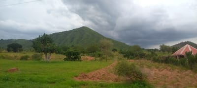 The image depicts a panoramic view of a rural landscape in Gu, Nigeria, characterized by rolling green hills and a dramatic, cloudy sky. A prominent, verdant mountain dominates the background, its slopes textured with dense vegetation. In the foreground, a grassy field stretches out, dotted with trees and shrubs. To the right, a unique circular structure with a red and white conical roof is visible, partially obscured by surrounding foliage and a pile of reddish-brown soil. The overall atmosphere suggests a natural, perhaps somewhat uncultivated, environment under an overcast sky, hinting at potential rain. There are no visible people or animals in the frame.