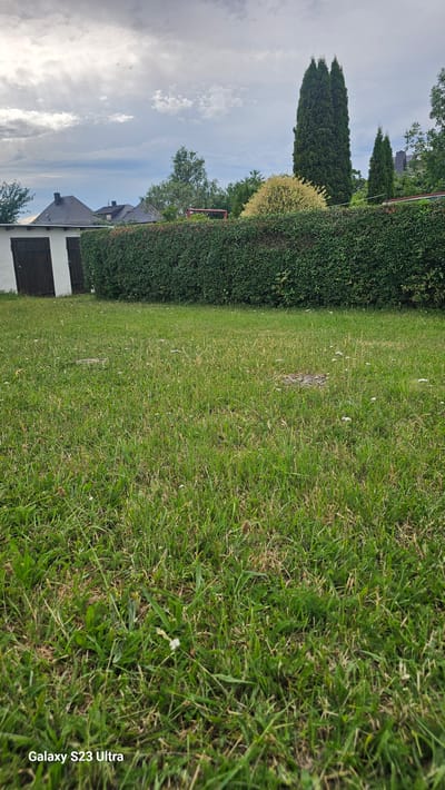 This media file captures an outdoor scene in Schleiz, Germany. The foreground is dominated by a lush green lawn, with some patches of dried grass and a few small white flowers scattered throughout. The grass extends to the right edge of the frame, where a portion of a white building with dark wooden doors is visible at the bottom.
To the left of the lawn, a meticulously trimmed green hedge forms a clear boundary. Behind the hedge, a tall, dark green evergreen tree stands prominently, with a smaller, golden-leaved shrub to its right. Further back, glimpses of rooftops and more trees suggest a residential area.
The sky above is filled with dramatic, heavy clouds, indicating potentially overcast or approaching weather conditions. The overall impression is a tranquil, domestic setting, likely a backyard or garden. No people are visible in the image. The time of day appears to be late afternoon or early evening, judging by the light. The only visible text is "Galaxy S23 Ultra" in the bottom right corner, indicating the device used to capture the image.