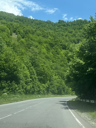 The image shows a winding asphalt road curving to the right, bordered by a grassy shoulder and a metal guardrail on the right side. The road is marked with white lines. To the left of the road, a steep, densely forested hillside rises, covered in lush green trees. The trees are a vibrant green, indicating a summer or late spring setting. The sky above is a bright blue with scattered white clouds. The scene appears to be a scenic rural or mountainous area, likely a road in the vicinity of Fioletovo, Armenia, given its mountainous terrain and vegetation. No people or animals are visible in the image.