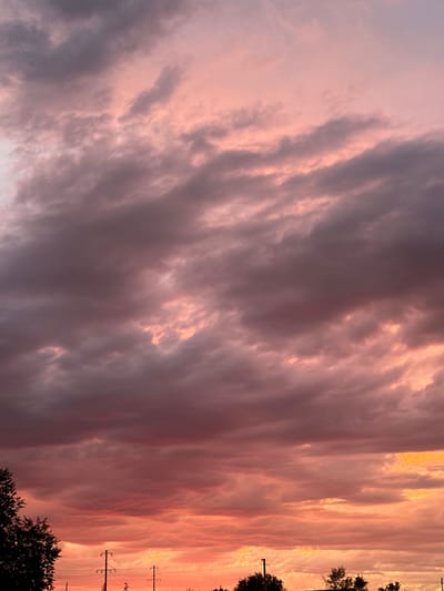 A vertical, full-frame shot captures a dramatic sky filled with dramatic clouds during what appears to be either a sunrise or sunset. The clouds are rendered in a palette of deep purples, grays, and vibrant pinks and oranges, suggesting the sun is low on the horizon, either rising or setting. The clouds are textured and layered, with some areas appearing darker and more ominous, while others are illuminated by the warm hues of the sun. In the lower portion of the image, silhouetted against the bright sky, are the tops of trees and utility poles with power lines stretching across the frame. The overall impression is one of a natural spectacle unfolding over a somewhat rural or suburban landscape within Сарымолдаев ауылдық округі, Kazakhstan. No people are visible in the image.