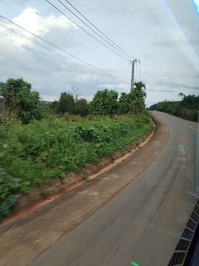 The image depicts a paved road curving through a landscape of dense green vegetation under an overcast sky. A power pole stands along the roadside with multiple power lines extending across the frame. The view appears to be taken from a moving vehicle, indicated by the blurred foreground, an unclear reflection and a vehicle vent. The road is bordered by a dirt shoulder transitioning to lush foliage. The location is Pờ Y, Vietnam.