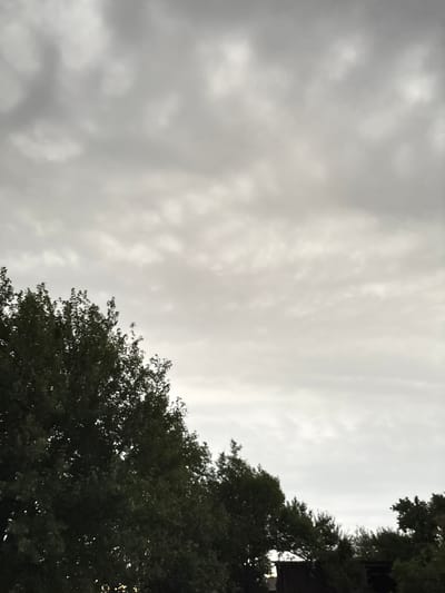 The image depicts a cloudy sky over a line of trees. The sky is filled with grey and white clouds, with some areas appearing lighter than others, suggesting varying cloud density. The trees, predominantly green, form a dark silhouette against the sky. The foliage of the trees is dense, with some lighter patches indicating areas where light penetrates through the leaves. The lower portion of the image shows the tops of the trees, with some of them extending upwards and to the left. The overall scene is somber due to the overcast sky. The location in Жібек жолы ауылдық округі, Kazakhstan, is not visually discernible from the provided image.