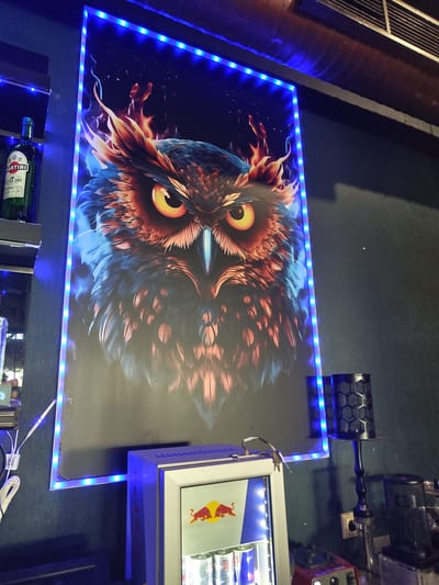In an indoor setting, a large, striking poster of an owl with fiery plumage is displayed on a dark wall, illuminated by blue LED strip lights outlining its border. To the left of the poster, a green bottle of Martini Extra Dry vermouth stands on a shelf. Below the poster, a compact, white mini-fridge branded with the Red Bull logo is visible, containing cans of what appears to be Red Bull. To the right of the fridge and poster, a black hookah with a decorative stem stands next to a small, black speaker with a honeycomb pattern. The scene appears to be a bar or lounge area. The city of Zhukovsky, Russia, is not visually represented in this image.