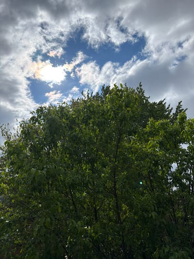 The image shows a view looking up through a tree canopy towards a cloudy sky. The tree, with its green leaves, occupies the right half of the frame. Sunlight is visible through a gap in the clouds, creating a bright spot. The clouds are a mix of white and gray, with patches of blue sky visible in between. The image was taken in Morton Grove, United States of America.
