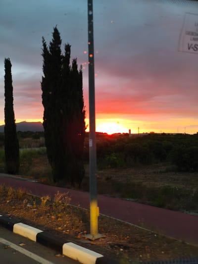 An eye-level shot captures a vibrant sunset over a semi-rural landscape in Nàquera / Náquera, Spain, likely taken from inside a moving vehicle due to reflections and a visible sticker on a window in the upper right. The sky is dominated by striking reds, oranges, and yellows near the horizon, gradually fading into a cloudy, greyish-blue overhead.
Two tall, dark, slender trees, possibly cypress trees, stand prominently on the left side of the frame, silhouetted against the bright sky. In the midground, a dark green expanse of shrubs and trees extends towards the distant mountains, which appear as a dark silhouette against the lighter horizon. Several tall, slender structures, resembling wind turbines or communication towers, are visible on the distant horizon, blending with the sunset's glow.
In the immediate foreground, a black and white curb separates a road from a reddish-brown paved path, possibly a bicycle or pedestrian path. Dry, sparse vegetation borders the path. A utility pole stands vertically in the center-right, showing a bright yellow painted base, with some orange light reflections visible on its surface and on the window itself, suggesting bokeh from lights or reflections.
The time of day is clearly sunset, creating dramatic colors and strong silhouettes. A sticker on the top right of the window displays partially visible text, including "V-SA," and above it, blurred words like "GEPRUFT" (German for 'tested') and "LAM..." are discernible. The overall scene evokes a sense of tranquil beauty at dusk.