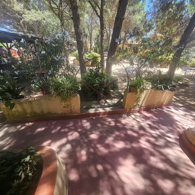 A sunny outdoor scene in Lloret de Mar, Spain, depicts a garden area with trees, plants, and seating. The foreground features a red paved ground with dappled sunlight and shadows cast by overhead foliage. A low, curved wall, made of weathered, light-colored material with mossy patches and a terracotta trim, encloses a planter box filled with lush green plants.
Behind this, a circular metal archway frames a central planting area with more greenery. In the center of this area, an old, rusty farm implement, resembling a plow, is displayed as a decorative piece. Various potted plants, including those with long, slender leaves and some with small white flowers, are strategically placed throughout the scene.
In the background, more trees are visible, along with buildings with light-colored walls and dark roofs, suggesting a restaurant or resort setting. Several tables and chairs, made of white metal, are scattered around, indicating an outdoor seating area. The overall environment suggests a tranquil, garden-like setting, likely part of a commercial establishment in Lloret de Mar. No people are present in the image.