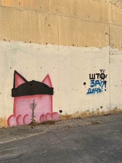 The image depicts a concrete wall in Donji Katun, Montenegro, exhibiting graffiti art and natural overgrowth. The wall is divided horizontally into two sections: the upper portion is a rough, tan concrete, while the lower section is painted white, with a noticeable crack running across the top of the white paint.

On the left side of the wall, a large, pink graffiti image of a cat's head and ears is visible, wearing a black mask. A small, dry plant is growing out of the wall in front of the lower portion of the cat graffiti, near its stylized pink paws.

To the right of the cat graffiti, there is additional graffiti in black and blue spray paint. The black graffiti features a stylized character with a crown and a circular face, with the Cyrillic letters "ШТО" above it. Below this, in blue, are the Cyrillic letters "ЗА?!" and "ДИЧЬ.".

The base of the wall is adjacent to a gray asphalt surface, which appears to be a road or pathway. There is evidence of dirt, small stones, and weeds along the base of the wall, indicating some natural encroachment. Several holes and imperfections are present in the concrete wall. The lighting suggests it is daytime, with sunlight casting shadows.