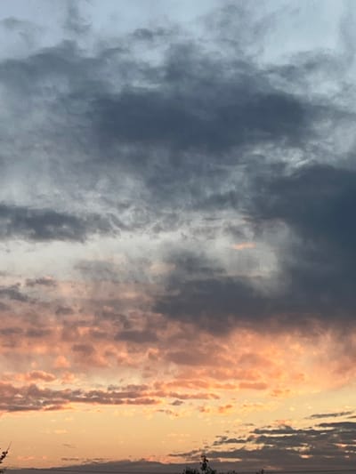 The image shows a dramatic sky with a mixture of dark gray and lighter, pinkish-orange clouds. The clouds are dense and textured, suggesting an overcast or stormy condition illuminated by sunset or sunrise light. The bottom portion of the image shows a faint horizontal line that could represent the distant horizon, possibly over water or a flat landscape, with some dark silhouettes of trees or vegetation at the very bottom edge. The scene is devoid of any human presence or activity. The location is identified as Kryvets, Ukraine, though this is not visually discernible from the image itself.