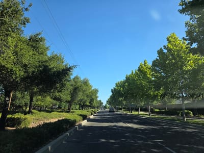 This is a landscape photograph taken from a moving vehicle, looking down a tree-lined street. The scene depicts a suburban or residential area with lush green trees lining both sides of the asphalt road. The trees are full of vibrant green leaves, suggesting a temperate climate during a growing season.
In the foreground, the road surface is visible, with white lane markings indicating a two-lane road. Shadows of the trees are cast across the road, hinting at a sunny day with the sun positioned to the side. The curbs are clearly defined, and a strip of green landscaping with bushes and smaller trees separates the road from the residential properties beyond.
Further down the road, several vehicles are visible, including a silver SUV in the middle distance. In the background, houses and other structures can be seen, partially obscured by the trees and foliage. A street sign is visible on the right side of the road, indicating directions to "Civic Center Dr" and "<- Backer Ranch Rd."
The sky is a clear, bright blue, with no clouds visible. This, along with the strong shadows, indicates that it is daytime, likely mid-morning or early afternoon. The overall impression is one of a peaceful, well-maintained suburban environment on a pleasant day. The camera appears to have a slight tilt upwards, capturing the tops of the trees against the expansive blue sky. The image has a bright and clean aesthetic, with good natural lighting.