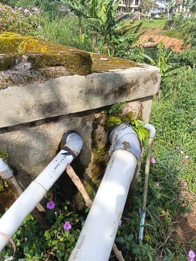 The scene depicts an outdoor concrete water storage or collection structure located in Wenshan City, China. The rectangular concrete structure exhibits significant weathering, with its top surface and upper sides densely covered in vibrant green moss and darker water staining. Multiple PVC pipes are connected to or extend from the lower portion of the concrete. Two prominent white PVC pipes, approximately 4-6 inches in diameter, angle upwards and outward from the base, each connecting to grey elbow joints that penetrate the concrete wall. A thinner white PVC pipe is partially visible on the far right. The immediate foreground and surrounding ground are covered in dense green vegetation, including small plants with multiple purple flowers. The background reveals a verdant landscape with numerous large-leaved plants, consistent with banana trees or similar foliage. On a distant hillside, residential buildings with light-colored exteriors and sloped roofs are visible, interspersed with further vegetation and a patch of disturbed earth, possibly a terraced agricultural area. The scene is illuminated by strong natural sunlight. No human figures or discernible animal life are present, nor are any actions or interactions depicted.