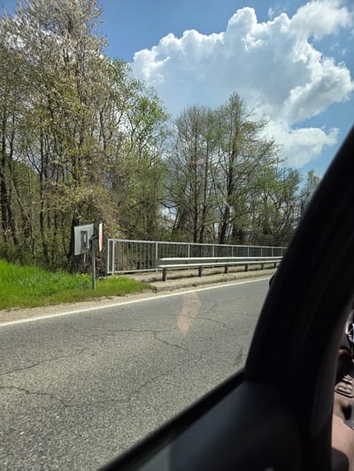 The image depicts a view from inside a vehicle, likely a car, driving alongside a road in Dalbok Dol, Bulgaria. The road is gray asphalt with cracks and a white painted edge line. A silver metal guardrail separates the road from a green grassy verge. Beyond the verge is a line of trees with blooming white blossoms. The sky is visible through the trees and shows a blue sky with large, puffy white clouds. Part of the vehicle's interior, including the dashboard and possibly a hand, is visible in the foreground.