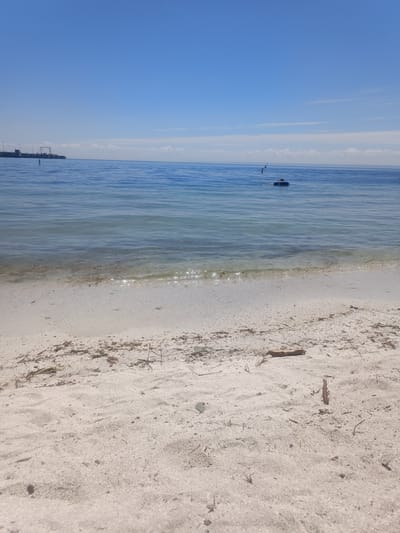 This image depicts a calm, clear blue sky over a serene body of water. The foreground is a sandy beach with scattered debris, including small pieces of wood and dried leaves. In the middle ground, the clear, shallow water gently laps the shore, revealing the sandy bottom beneath. Further out, the water deepens to a darker blue, and a person is visible floating on an inflatable ring. In the distance, a large industrial structure resembling a pier or dock with cranes is visible on the left horizon, suggesting an urban or industrial coastal setting. The overall scene conveys a peaceful day at the beach with evidence of human activity and a distant industrial presence. The location is identified as Oakville, Canada, a city on the north shore of Lake Ontario.