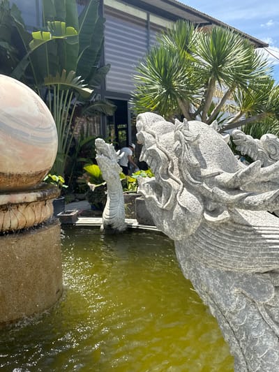 The image shows an outdoor scene in Tuy An Nam, Vietnam, on a bright, sunny day. The main subjects are a large, ornate stone dragon sculpture and a pond of green water. The dragon sculpture is detailed, with scales and a fearsome head, and appears to be part of a fountain, with its mouth extending into the water.
In the background, there is a building with a corrugated roof and large windows. Several types of tropical plants, including palm trees with spiky fronds and large-leafed plants that resemble bird of paradise flowers, add to the lush, tropical setting. The water in the pond is a murky green, reflecting the sunlight and creating small sparkling highlights.
A person wearing a white shirt and hat is visible in the middle ground, interacting with the dragon sculpture, possibly tending to it or observing it. The overall impression is one of a tranquil, possibly spiritual or decorative, outdoor space. The lighting suggests it is daytime, likely morning or afternoon, given the bright sun and clear sky.