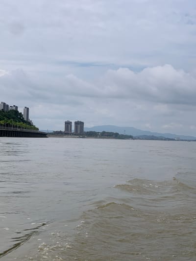 The image depicts a wide, murky river with gentle waves. On the left bank, a modern promenade lined with palm trees and lampposts leads to a series of tall, contemporary buildings. Further down the riverbank, two identical, imposing dark buildings with a stepped facade stand out. In the background, rolling green hills are shrouded in a hazy, overcast sky. The scene suggests a riverside urban environment, possibly a city experiencing overcast weather. The location is the Mekong River in Chiang Saen District, Thailand, a region known for its distinctive architecture and natural landscapes.