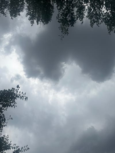 This is a photograph of a cloudy sky with silhouetted tree branches in the foreground and along the edges. The sky is filled with dark, heavy clouds, suggesting overcast or impending stormy weather. The lighting is muted, and the overall mood is somber and dramatic due to the dark clouds. There are no people or visible text in the image. The setting appears to be outdoors, likely in a rural or natural environment given the presence of trees. The location context provided is Сарымолдаев ауылдық округі, Kazakhstan. The time of day is not explicitly indicated but the low light suggests it could be dawn, dusk, or a heavily overcast afternoon.