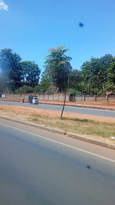 A sunny day scene depicts a road bordered by a brick wall and lush trees. An auto rickshaw travels along the road near the wall, which encloses properties with a house partially visible. The roadside exhibits construction or repair work. A secondary road with a curb and grassy area lines the bottom of the frame, showcasing a vibrant, clear blue sky overhead.