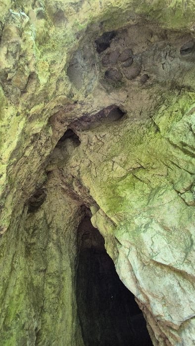 A cavernous space displays rough, textured walls marked by cracks and eroded cavities. Greenish hues cover the rock surfaces, suggesting moss or algae growth. Multiple openings puncture the stone, revealing darker recesses within. The scene gives the impression of a natural cave formation, possibly with multiple interconnected chambers or tunnels. A dominant dark opening looms on the right.