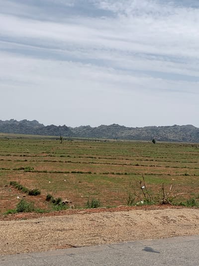 The image shows a rural landscape near Makera, Nigeria. A field with rows of vegetation extends towards a rocky mountain range under a cloudy sky. A road runs along the right edge of the image. There are no people visible. Debris and vegetation are present along the roadside.
