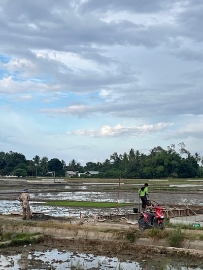 The image depicts a rural scene in the city of Tanjongidem, Indonesia, likely a rice paddy under cultivation or construction. Two individuals are visible. In the foreground, a person wearing a camouflage-patterned shirt and pants, and a hat, stands facing away from the camera, looking out over the flooded fields. Further in the middle ground, another person in a bright green vest and black pants stands near a red scooter. They appear to be holding a net or sieve. The field is a patchwork of mud and water, with some areas showing young green rice shoots. Wooden structures, possibly for irrigation or leveling, are present. The background is dominated by a dense line of trees, with a few small houses peeking through. The sky is partly cloudy with a mix of gray and white clouds against a light blue backdrop. The overall atmosphere suggests agricultural activity in a tropical environment.