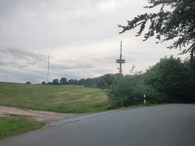 An overcast sky dominates the upper portion of the image. In the middle ground, a grassy hillside slopes upwards towards a line of trees. Two tall, slender towers are visible in the distance, one on the left and a more complex one with platforms on the right, likely telecommunication towers. A paved road curves from the foreground into the right side of the image, bordered by grass and a low dirt embankment on the left. A black and white striped post stands at the edge of the road. Dense green foliage forms a thick border along the right side of the road and behind the grassy hill. The scene appears to be in a rural or semi-rural area.