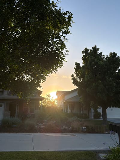 This photograph captures a residential street in Aliso Viejo, California, during a sunset. The scene is dominated by two houses, one on the left and another on the right, with lush green trees framing the view. The sun, low on the horizon, casts a warm, golden glow through the branches, creating a lens flare effect in the center of the image. The houses appear to be two-story structures with well-maintained front yards featuring a mix of ornamental grasses, rocks, and small shrubs. A concrete sidewalk runs across the foreground, separating the street from the lawns and landscaping. The sky is clear blue, transitioning to a soft orange and yellow hue near the sun. The overall impression is one of a peaceful evening in a suburban environment.
