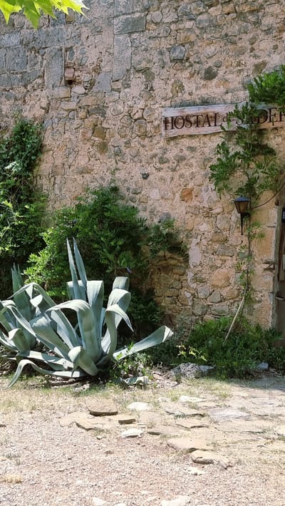 The image shows a rustic stone wall with a wooden sign that reads "HOSTAL de DER". In front of the wall, there is a large agave plant and various green bushes and plants. A stone path leads towards the wall, and a vintage-style lantern is mounted on the wall. The scene appears to be outdoors in a warm, sunny environment. The location is the Hostal de Der in Sales de Llierca, Spain. There are no people visible in the image.