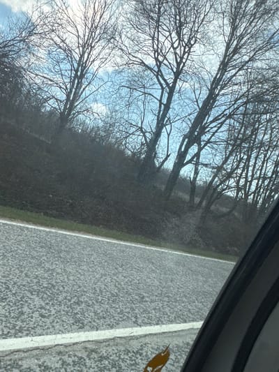 The image displays a roadside scene, ostensibly captured from inside a vehicle in the city of Rahovtsi, Bulgaria. The foreground features an asphalt road surface with a visible solid white line delineating its edge. Adjacent to the road, a narrow band of green grass transitions into a steep, dark brown embankment covered in sparse, withered vegetation and fallen leaves. The midground and background are dominated by a dense cluster of deciduous trees with bare branches, indicating late autumn or winter conditions. These trees are silhouetted against a bright, partly cloudy blue sky. No individuals, specific actions, or interactions are observable within the frame. A dark vehicle window frame partially obscures the right side of the image.
