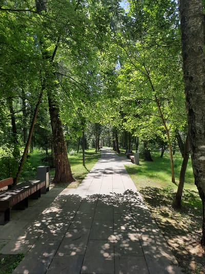 The image shows a paved pathway in a park, lined with trees and green grass. The pathway is made of light-colored rectangular tiles and is illuminated by sunlight, casting dappled shadows from the leaves of the trees. Benches and trash receptacles are visible along the sides of the path. The trees are deciduous and their leaves are a vibrant green, indicating a summertime setting. In the distance, the pathway curves to the right and continues into the park. The environment appears to be a well-maintained public space, possibly in the city of Mar'ino, Russia, given the prompt's context. There are no people visible in the image.