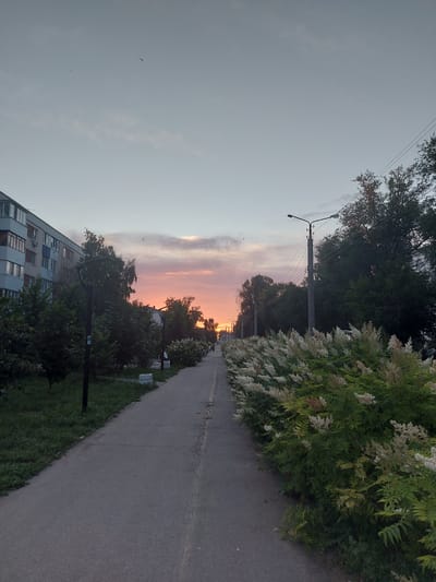 This media file depicts a view along a paved walkway bordered by greenery and flowering bushes. A residential building with multiple stories and windows is visible on the left, partially obscured by trees. A lamppost stands near the walkway, and power lines stretch across the sky. The scene is set during sunset, with the sky displaying hues of pink and orange. The overall atmosphere suggests a peaceful, late afternoon or early evening in a residential area. The location is Chapaevsk, Russia.