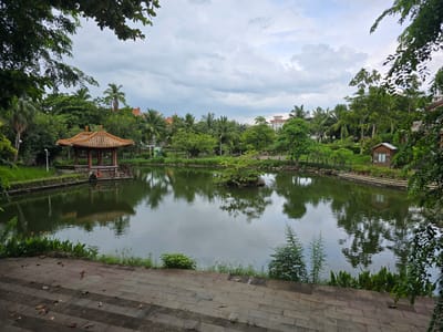 This image depicts a serene park scene in Qiongshan District, China, centered around a tranquil pond. A traditional Chinese pavilion with an orange tiled roof and wooden columns stands on the left side of the pond, reflecting in the water. Lush green trees, including palm trees, surround the pond, with some buildings visible in the background. On the right side of the pond, a small wooden house with windows and a small island with trees in the center of the pond add to the picturesque setting. The foreground features a paved pathway with scattered fallen leaves, suggesting an outdoor park environment. The sky is overcast with clouds, casting a soft light over the scene.