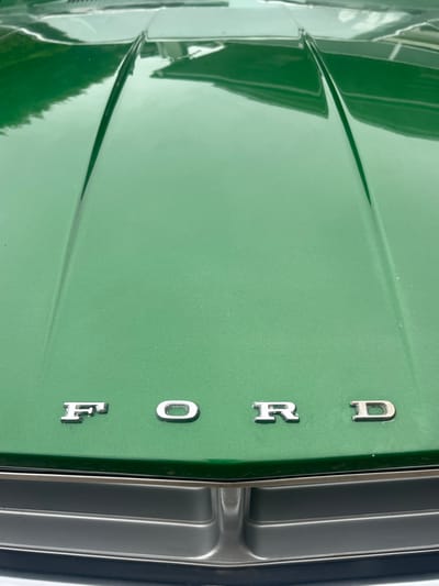 A close-up, vertically-oriented shot shows the hood of a green Ford vehicle. The letters "FORD" are vertically aligned and chrome-plated on the hood. The hood has a subtle ridge along its length. Reflections on the hood's surface suggest the presence of trees. A portion of the vehicle's grille is visible on the right side of the frame.