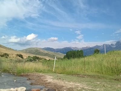 The image depicts a rural landscape with a small stream in the foreground, leading towards a backdrop of rolling hills and distant, snow-capped mountains. The sky is partly cloudy with wispy clouds. A fence line runs horizontally across the mid-ground, separating a grassy field from the stream area. A cluster of tall, dark green trees stands in the middle ground, to the right of center. The overall impression is one of natural, undeveloped terrain. The location is specified as Көксаяқ ауылдық округі, Kazakhstan.