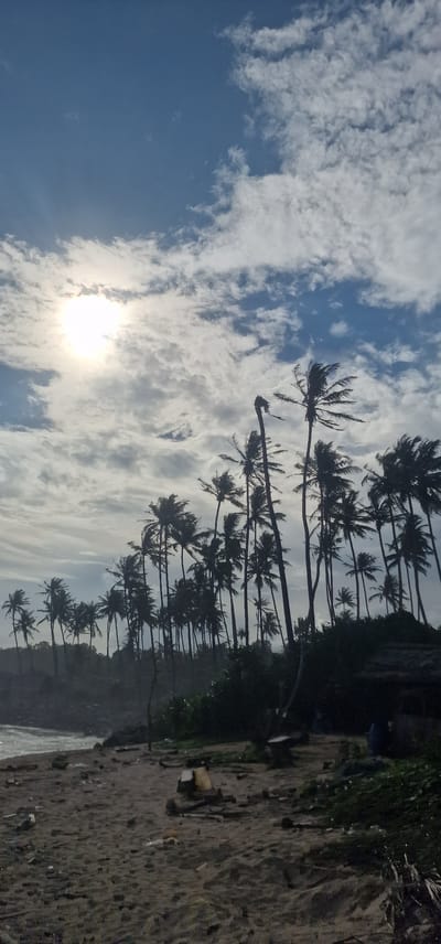 This image, taken in Walgama, Sri Lanka, presents a view of a beach at daytime. The scene is dominated by a row of silhouetted palm trees stretching along the shore. To the left, the sky features a mix of blue patches and bright, cloud-filled sections, with the sun shining brightly. The beach itself is sandy and littered with debris. A small wave can be seen at the water's edge. The overall impression is of a tropical coastline with a blend of natural beauty and human impact.