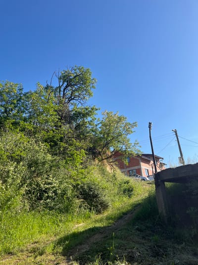 The image depicts a sunny outdoor scene in what appears to be a rural area, potentially in or near Kornitsa, Bulgaria. The foreground is dominated by lush green vegetation, including tall grasses and bushes. A dirt path or track runs along the right side of the frame. In the background, a partially constructed brick building is visible on a slight incline. The building appears to be a house, with visible window openings. Power lines and utility poles are present, suggesting the presence of infrastructure. A concrete structure, possibly a bridge or overpass, is partially visible at the top edge of the frame. The sky is clear and blue. There are no people visible in the image. A car is parked next to the house.