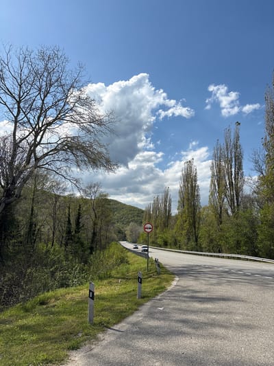 The image, displayed in a portrait orientation and rotated 90 degrees counter-clockwise, captures a tranquil natural landscape traversed by a road. The wide asphalt road, visible in what would be the right side of a correctly oriented landscape view, features clear white solid and dashed lines. A metal guardrail runs along its edge, accompanied by two roadside reflector posts. A red circular "No Overtaking" traffic sign, showing two red vehicles with a diagonal line through the rear one, is prominently placed near the road. A white vehicle is visible in the distance on the road.
In the opposing part of the frame, a large deciduous tree with its intricate bare branches stretches across the sky. A line of tall, slender trees, some showing early green foliage, parallels the road. In the background, a lush, tree-covered mountain or large hill rises against a dynamic sky. The ground beside the road is covered in vibrant green grass.
The sky is a mix of bright blue patches and an array of white cumulus clouds, alongside some larger, greyer cloud formations, indicating partially cloudy weather. The scene is illuminated by daylight, likely late morning or early afternoon, with shadows cast on the road. The setting is rural and serene, characteristic of Beregovoe, Russia.