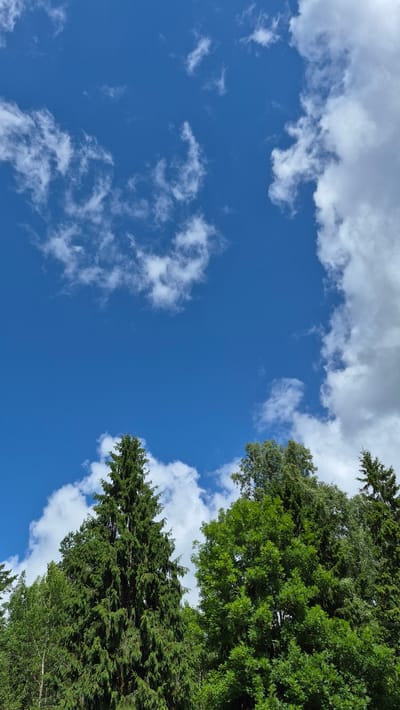 The image shows a dense canopy of green trees against a bright blue sky with scattered white clouds. The trees are varied in type and height, with some appearing to be evergreen conifers and others deciduous trees. The lighting suggests it is daytime, with sunlight illuminating the upper portions of the trees and clouds. The scene is likely an outdoor natural environment. The location is specified as Ļūbaste 0001, Latvia. There are no people or visible actions in the image.