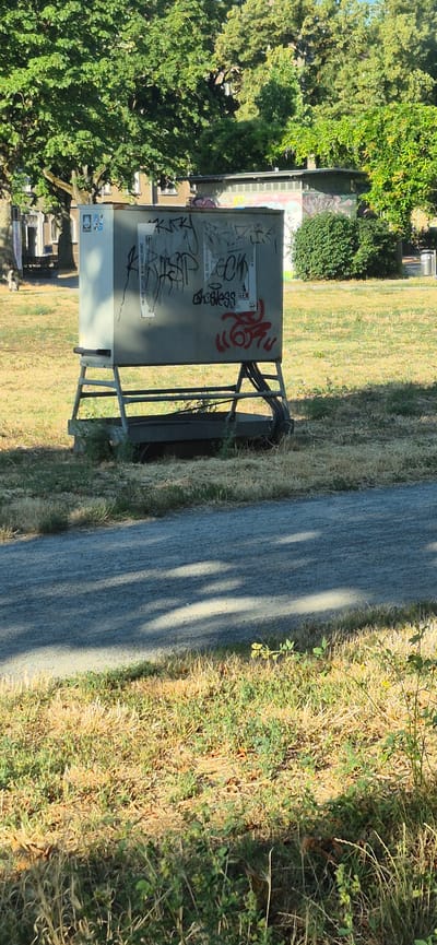 The image shows a metal electrical box covered in graffiti, located in a grassy area with trees in the background. The electrical box is light gray and supported by a metal stand. The graffiti consists of various tags and drawings, some in black and some in red. A path is visible in the foreground, with shadows cast across it. The overall setting appears to be a public outdoor space, likely a park or a street in Karlsruhe, Germany, given the context. There are no people visible in the image, and the scene is static. The environment is somewhat unkempt, with dry grass and dense foliage from trees.