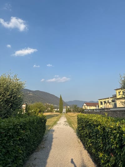 This image depicts a sun-drenched path leading through a manicured garden area in Balerna, Switzerland. The path, made of gravel, is bordered by dense, green hedges on either side. In the distance, a tall, slender cypress tree stands prominently, framing a view of rolling hills and mountains. The hills are covered in trees and dotted with buildings, suggesting a semi-rural or suburban setting. Several yellow and white buildings are visible on the right side of the image, featuring tiled roofs and windows. The sky is a clear, vibrant blue with a few wispy white clouds. An olive tree with green foliage is present on the left side of the frame. The overall impression is one of a peaceful, well-maintained outdoor space.
