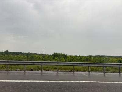 The image depicts a roadside scene with a gray, overcast sky. In the foreground, a wet asphalt road surface is visible, featuring a white lane marker. A reflective metal guardrail runs horizontally across the middle of the frame, separating the road from a grassy area with scattered stones and debris. Beyond the guardrail, a lush green landscape of trees and foliage stretches to the horizon, with a power line and utility pole visible against the sky. The overall impression is of a rural or suburban environment in or near ნიგოითის თემი, Georgia, under inclement weather conditions.