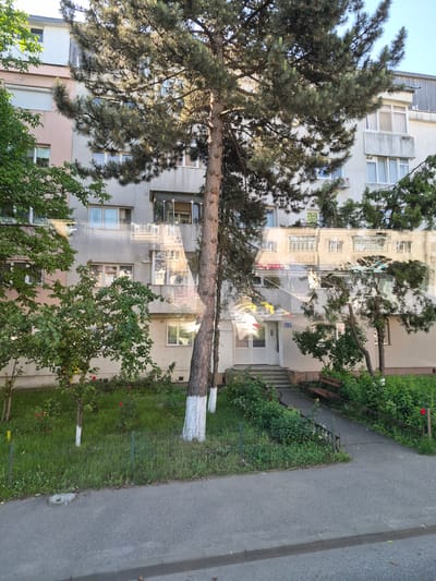 The image depicts the exterior of a residential building in Fălticeni, Romania. The building is a multi-story apartment block with a light-colored facade, featuring numerous windows. A large tree with dense foliage is prominently positioned in front of the building, casting shadows. Several smaller trees and green bushes are also present in the foreground and around the building's entrance. A paved pathway leads to the building's entrance, which is marked by a set of steps and a door. Two wooden benches are situated near the pathway, surrounded by greenery. The ground is covered with grass and some scattered red flowers. The scene appears to be an outdoor residential area, likely in a neighborhood within Fălticeni. The overall impression is one of a residential building with a well-maintained green space in front.