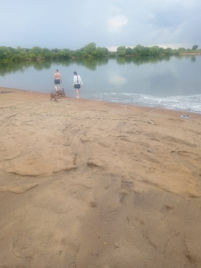In Vasil'evka, Russia, on a cloudy day, a man in dark shorts and a woman in a white shirt and dark skirt stand in shallow water near the sandy shore of a river. Two small brown dogs are on the sand between them and the water. The sandy bank is textured with ripples and debris. In the distance, a line of green trees forms the opposite bank of the river. A pair of sandals rests on the sand further down the beach.