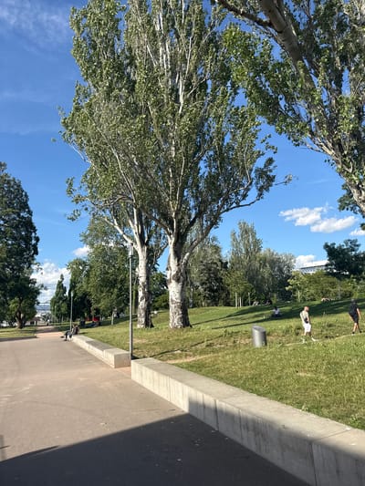 The image depicts a sunny day in a park setting. In the foreground, a paved walkway curves to the left, bordered by a concrete retaining wall. Beyond the wall is a grassy slope dotted with trees, many of which are tall and have white, speckled bark. Several people are visible in the park. Two individuals are sitting on a bench along the retaining wall. Further up the slope, a few people are sitting or lying on the grass, enjoying the outdoors. Two men are walking on the grass; one is wearing white shorts and a light-colored shirt, and the other is wearing dark shorts and a dark t-shirt with a backpack. A cylindrical trash receptacle is situated on the grassy area. In the background, more trees and buildings are visible, as well as a bridge structure in the distance. The sky is blue with scattered white clouds. This park is located in the city of Weil am Rhein, Germany.