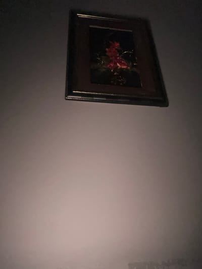 The image shows a framed painting hanging on a wall. The painting depicts flowers with dark foliage. The frame is dark with gold accents. The wall is a light neutral color with some discoloration on the right side. The lighting is dim. There are no people visible. There is no information available to identify the location of the scene as Elhovets, Bulgaria.