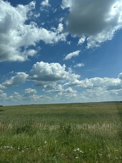 The image depicts a vast, open field under a dynamic sky filled with cumulus clouds against a bright blue backdrop. The foreground is dominated by tall, green grass and wildflowers, with a few taller, dried stalks of grass interspersed. Beyond the immediate foreground, the field stretches out to the horizon, appearing as a muted green expanse with subtle variations in texture and color, possibly indicating different crops or growth stages. Faint, parallel lines suggestive of agricultural patterns are visible in the distance. The horizon line is low, emphasizing the expansive sky. The scene appears to be a rural landscape, typical of the countryside around Aleksandrovka, Russia, during daylight hours. There are no people or man-made structures clearly visible, suggesting a natural or agricultural environment.