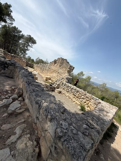 The image presents an outdoor scene depicting ancient stone ruins or walls under a bright, partly cloudy sky. In the immediate foreground, dark, textured stone blocks form a rugged wall or structure, with smaller stones and dirt on the ground around it. Moving into the midground, a substantial, lighter-colored stone wall meanders, forming part of what appears to be a historical fortification or building. A gravel path runs behind this wall.
A person wearing a dark top is partially visible behind the midground stone wall, looking out over the landscape. Their upper body and head are visible against the backdrop of distant greenery. Beyond the stone structures and the person, numerous evergreen trees, possibly pines, dot the hilly terrain. In the far background, a vast, hazy landscape of rolling hills or mountains stretches towards the horizon under a pale blue sky.
The sky is largely clear, with some delicate, wispy white clouds trailing across it. A small, dark, indistinct object, possibly a bird or a distant aircraft, is visible high in the sky. The strong sunlight casts sharp shadows across the stone surfaces, indicating a sunny day, likely late morning or early afternoon. The overall impression is one of exploring an ancient site with panoramic views of the surrounding natural environment, consistent with a historical location like Olèrdola, Spain. There is no visible text in the image.