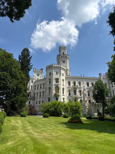 The image shows Hluboká Castle, a white neo-Gothic castle located in Hluboká nad Vltavou, Czechia. The castle is seen from a low angle, with its towers and ornate facade dominating the frame. In the foreground, a meticulously manicured green lawn stretches out, with neatly trimmed hedges and a flowerbed bursting with orange and green foliage. Tall trees with lush green leaves frame the scene on either side, their branches reaching towards the bright blue sky dotted with fluffy white clouds. The sun is shining, casting shadows on the lawn and highlighting the architectural details of the castle. There are no people visible in the image.