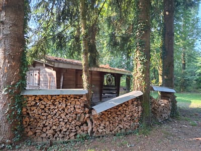 In Eschenbach (LU), Switzerland, a rustic wooden shed is situated in a forest setting, partially obscured by large trees. The shed has a weathered appearance with double wooden doors, each featuring a carved heart. The roof is covered with what appears to be wooden shingles and is slightly sloped. In front of the shed, and extending along its sides, is a substantial quantity of neatly stacked firewood. The firewood piles are contained by angled metal covers. The trees surrounding the shed are tall and mature, with ivy climbing their trunks. The ground is covered in fallen leaves and pine needles, characteristic of a forest floor. Sunlight filters through the dense canopy of leaves, creating dappled light and shadows. The overall impression is one of a secluded, natural environment. There are no people or animals visible in the image.